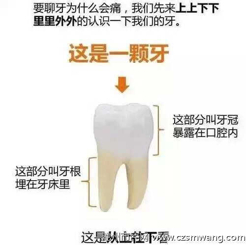 QQ图片20150421114702.jpg